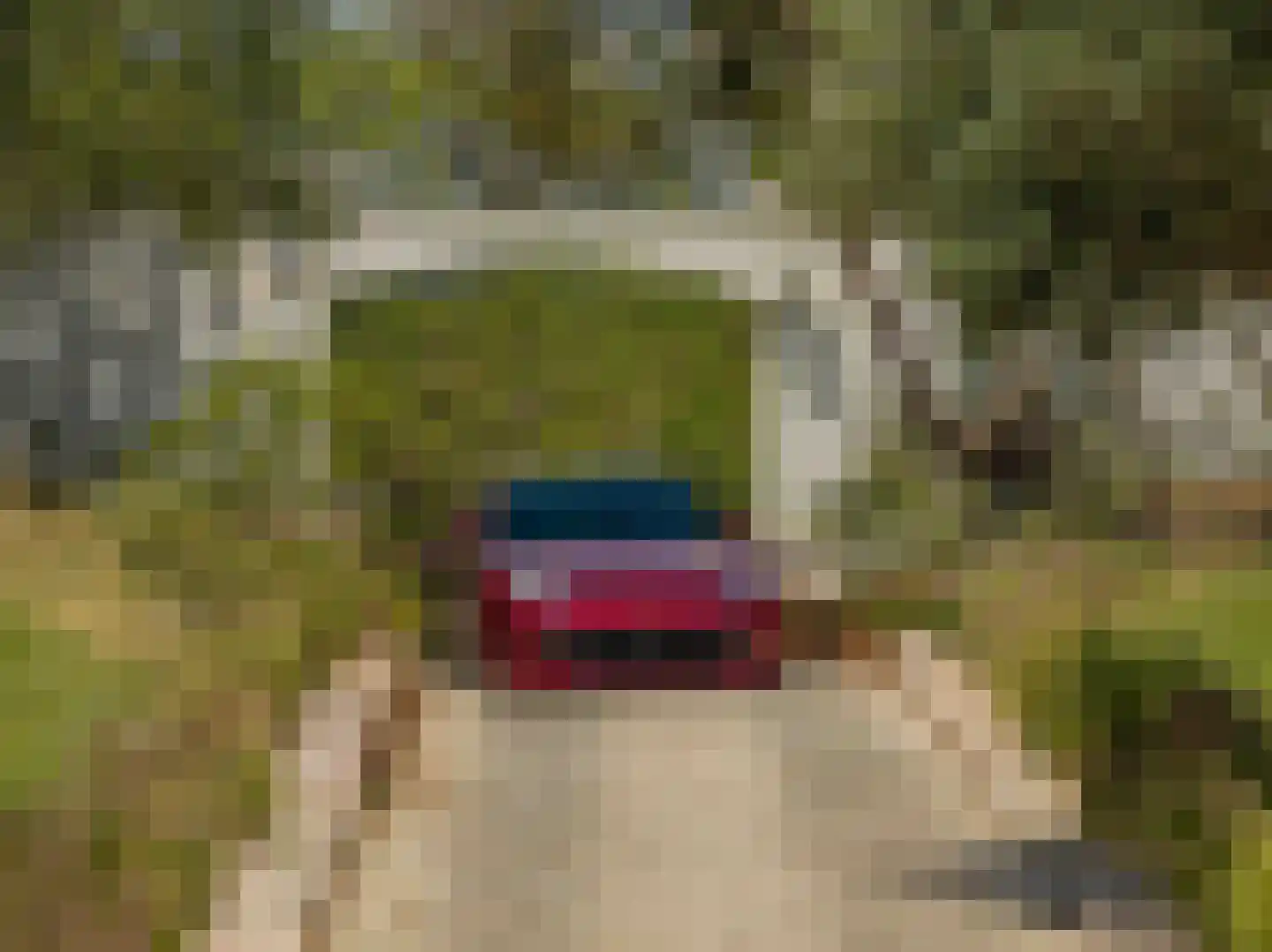 Viergrenzenweg 27 Vaals thumbnail 8