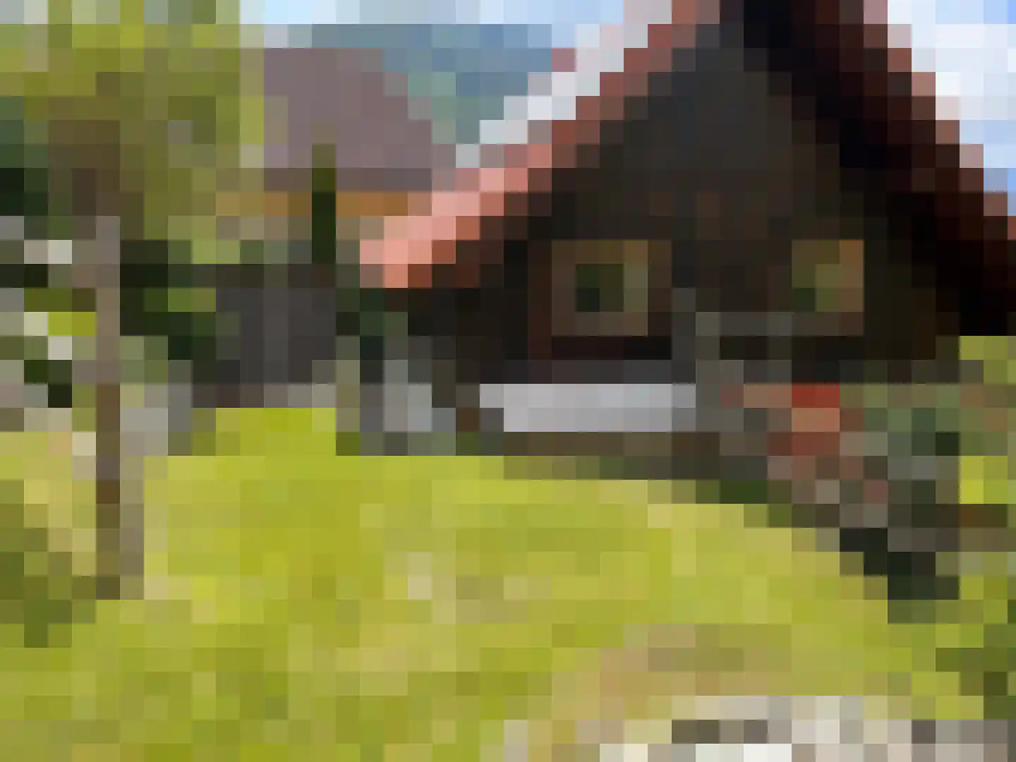 Viergrenzenweg 30 a Vaals thumbnail 6