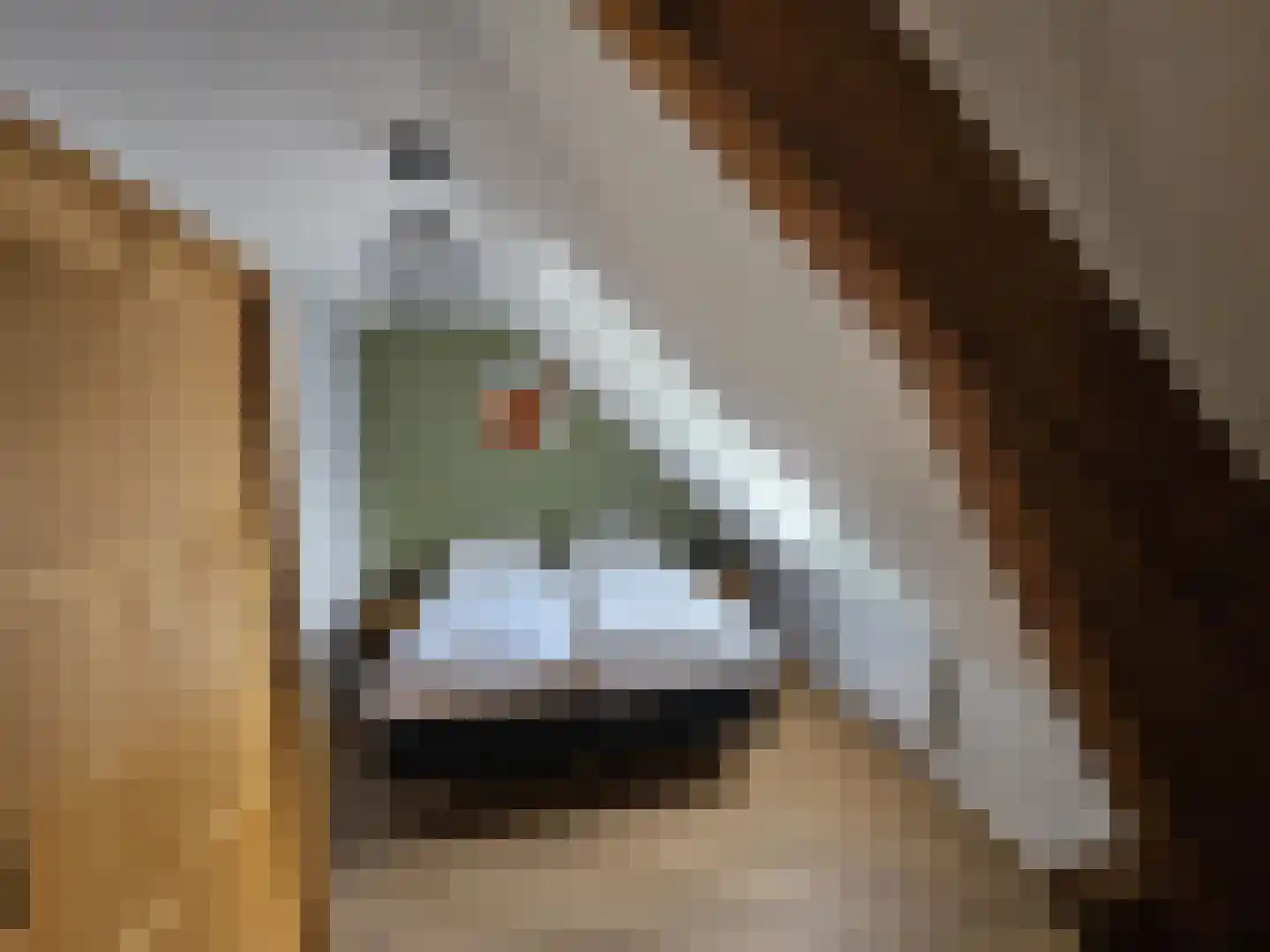 Viergrenzenweg 30 Vaals thumbnail 8