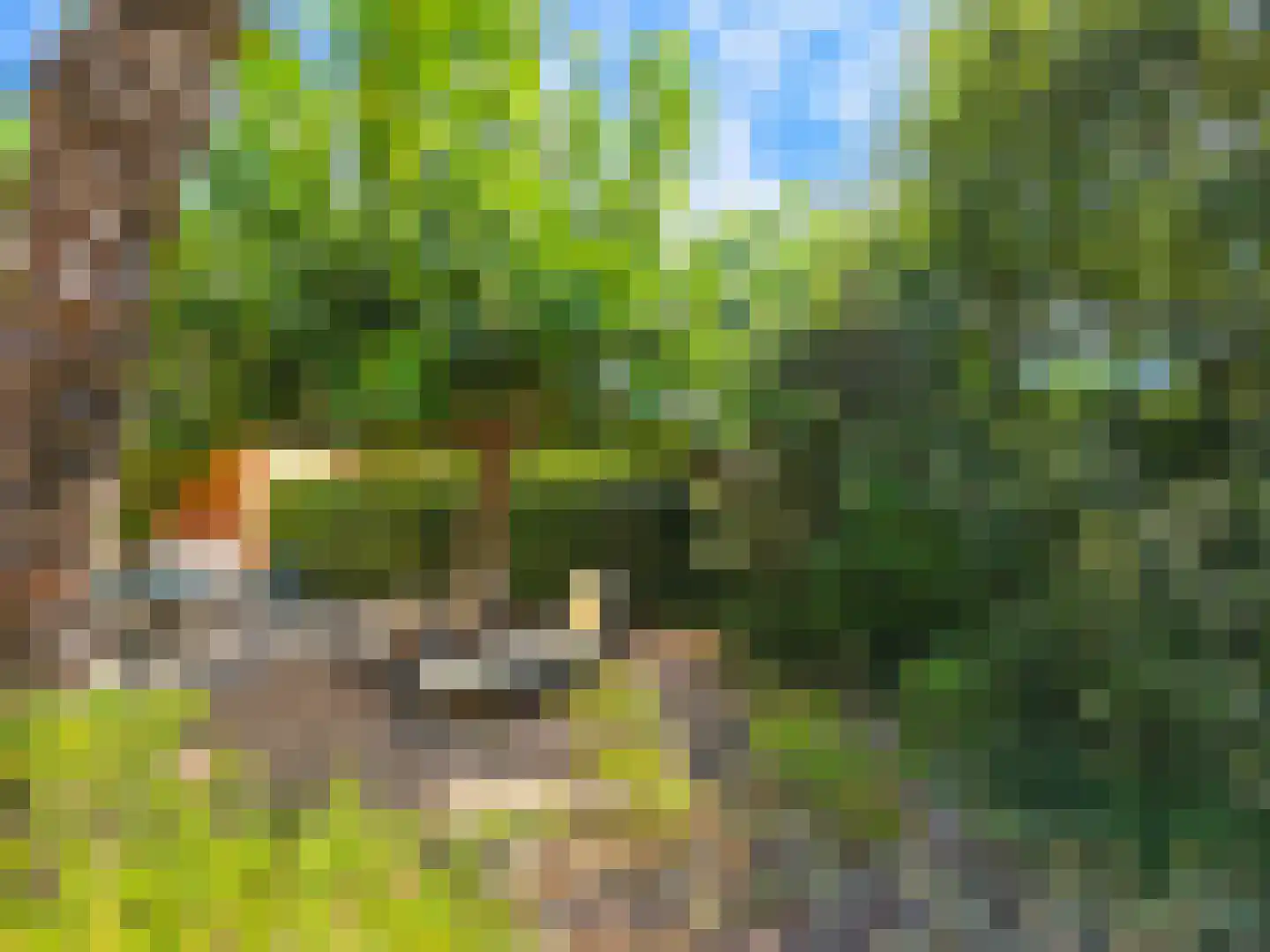 Viergrenzenweg 31 A Vaals thumbnail 7
