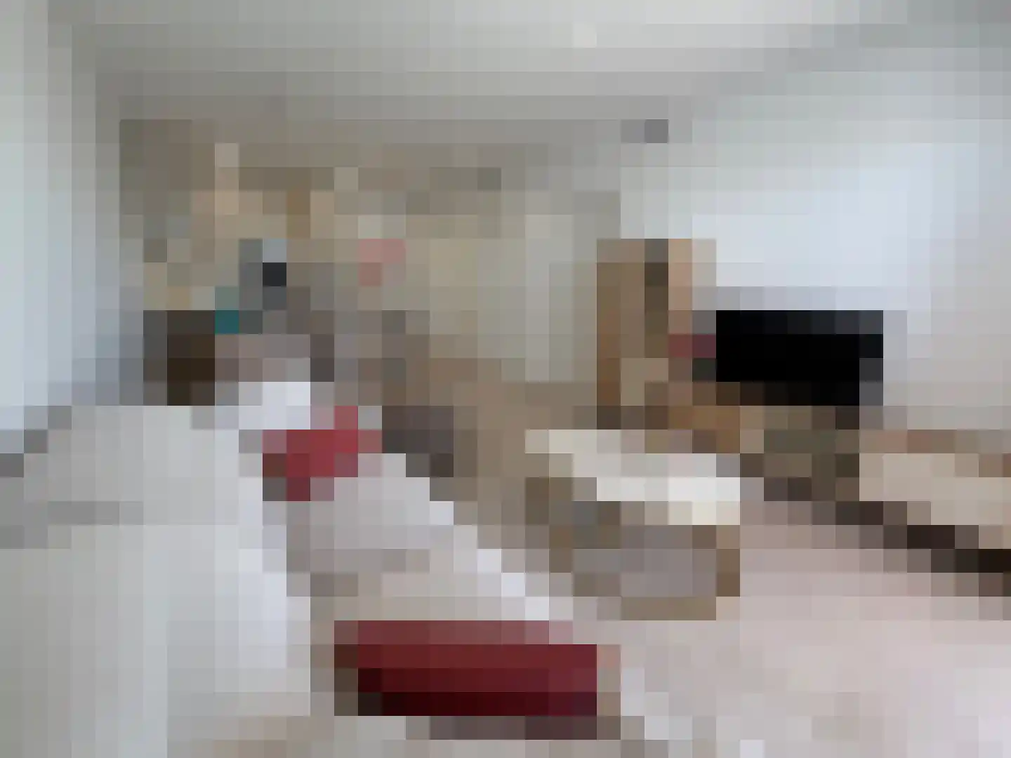 Viergrenzenweg 40 B3 Vaals thumbnail 10