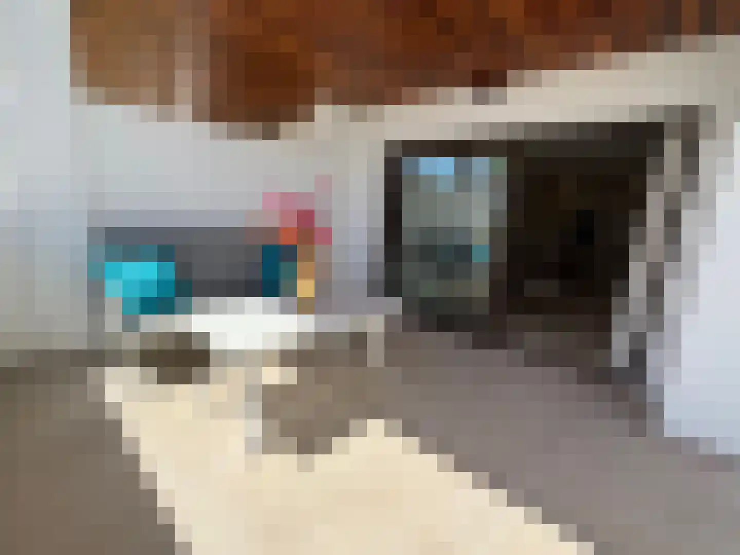 Viergrenzenweg 40 B3 Vaals thumbnail 12