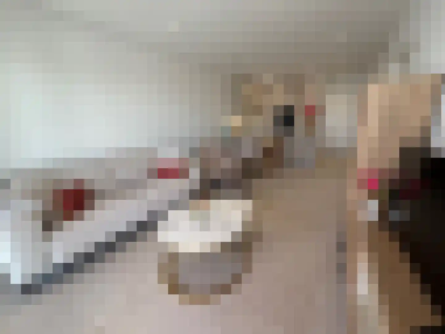 Viergrenzenweg 40 B3 Vaals thumbnail 13
