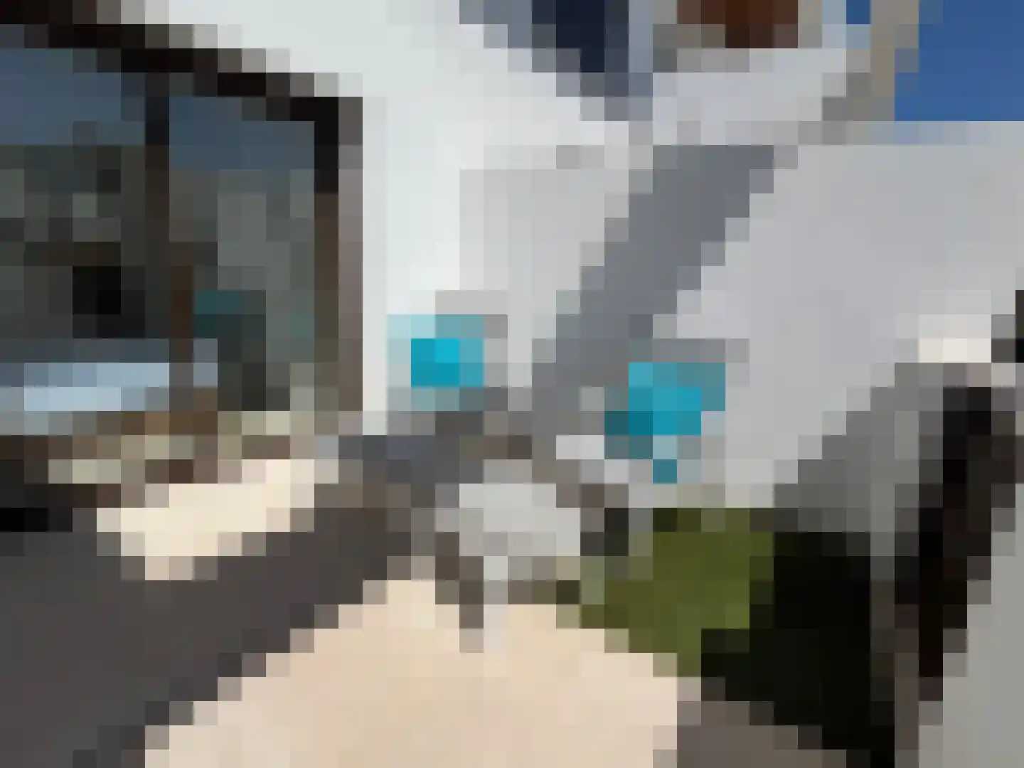 Viergrenzenweg 40 B3 Vaals thumbnail 25
