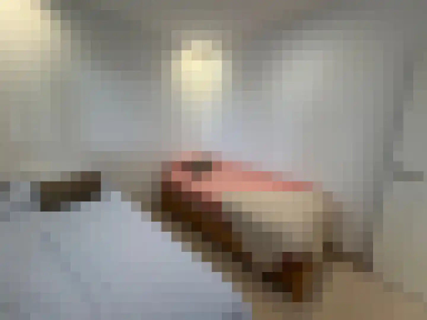 Viergrenzenweg 40 B3 Vaals thumbnail 28