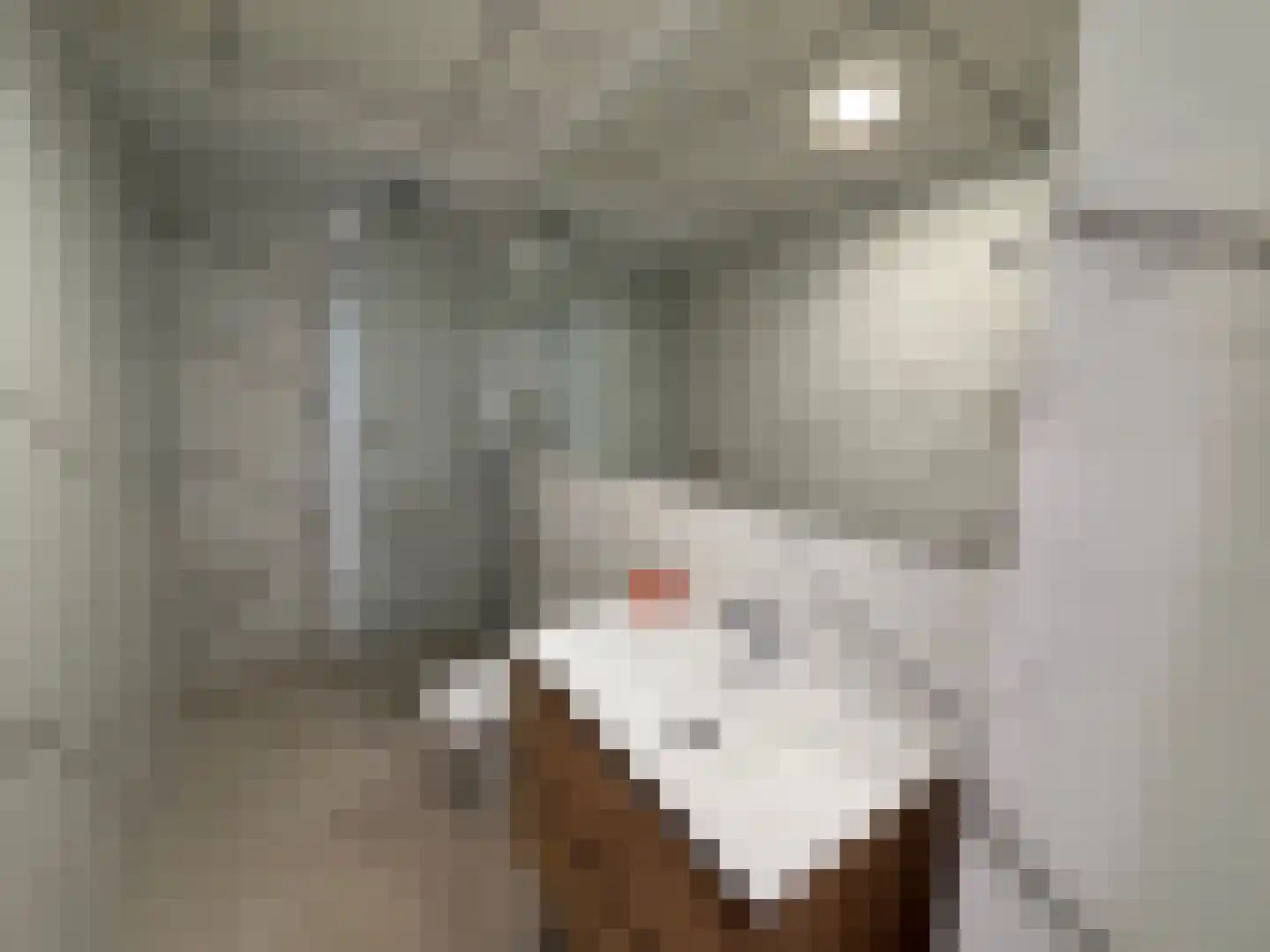Viergrenzenweg 40 B3 Vaals thumbnail 30