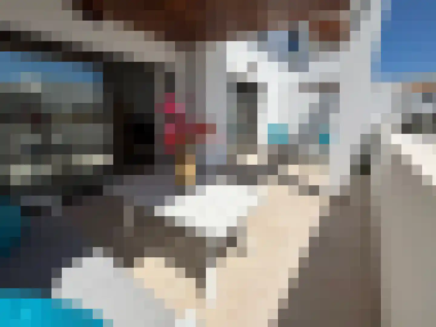 Viergrenzenweg 40 B3 Vaals thumbnail 31