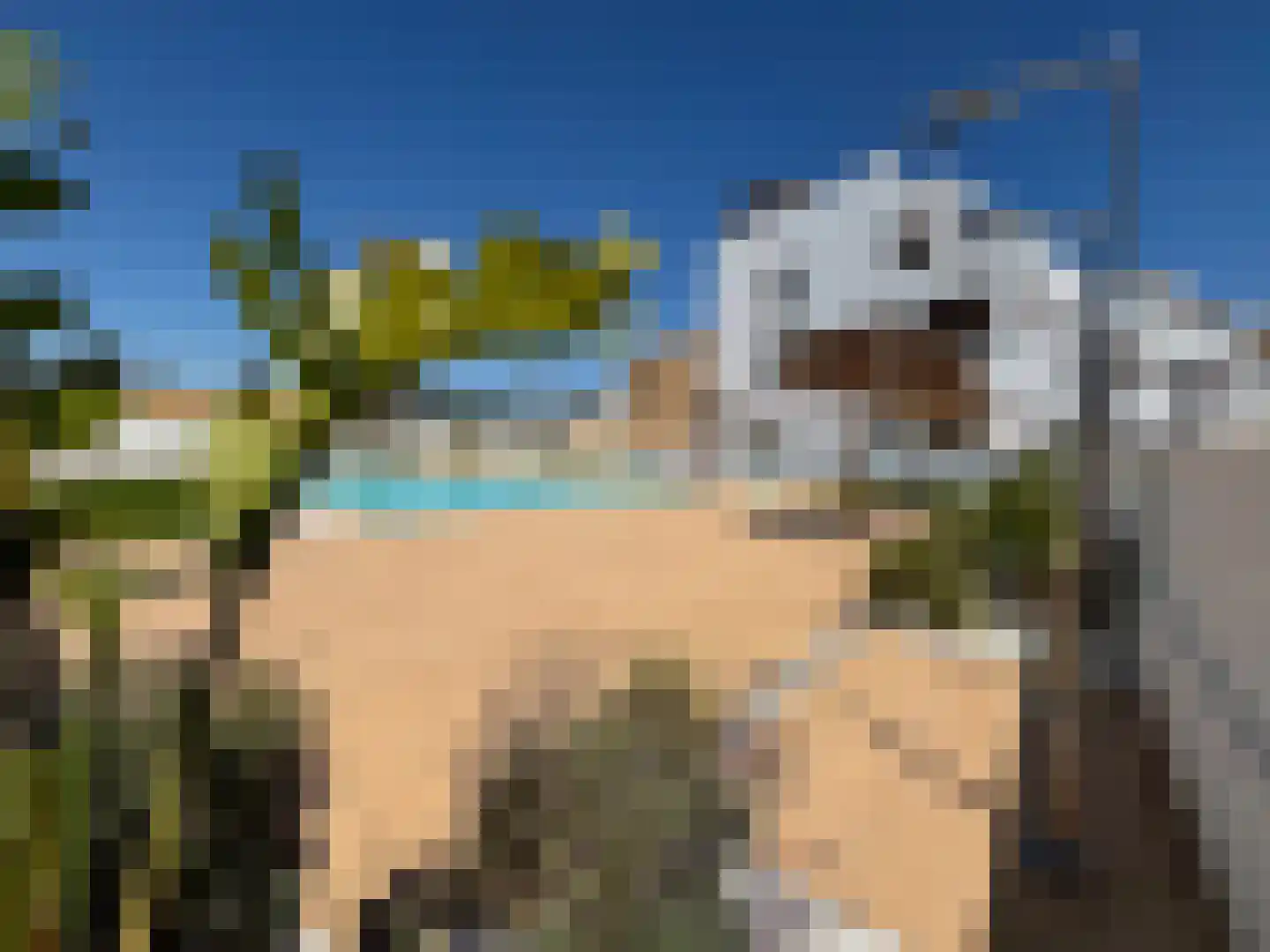 Viergrenzenweg 40 B3 Vaals thumbnail 40