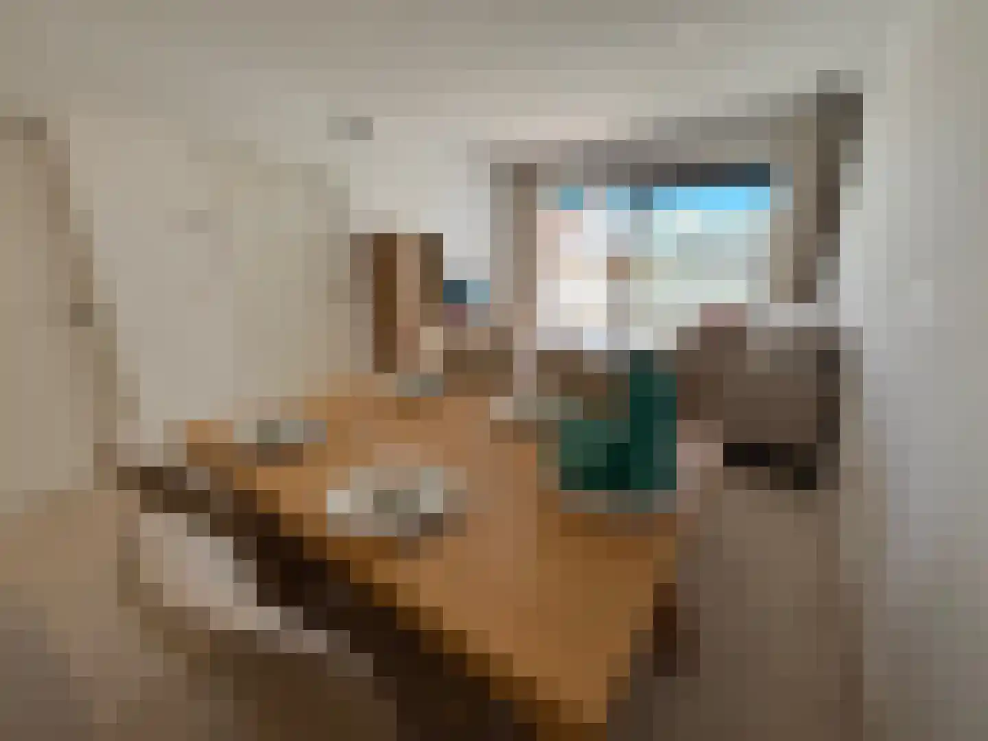 Viergrenzenweg 40 B3 Vaals thumbnail 9