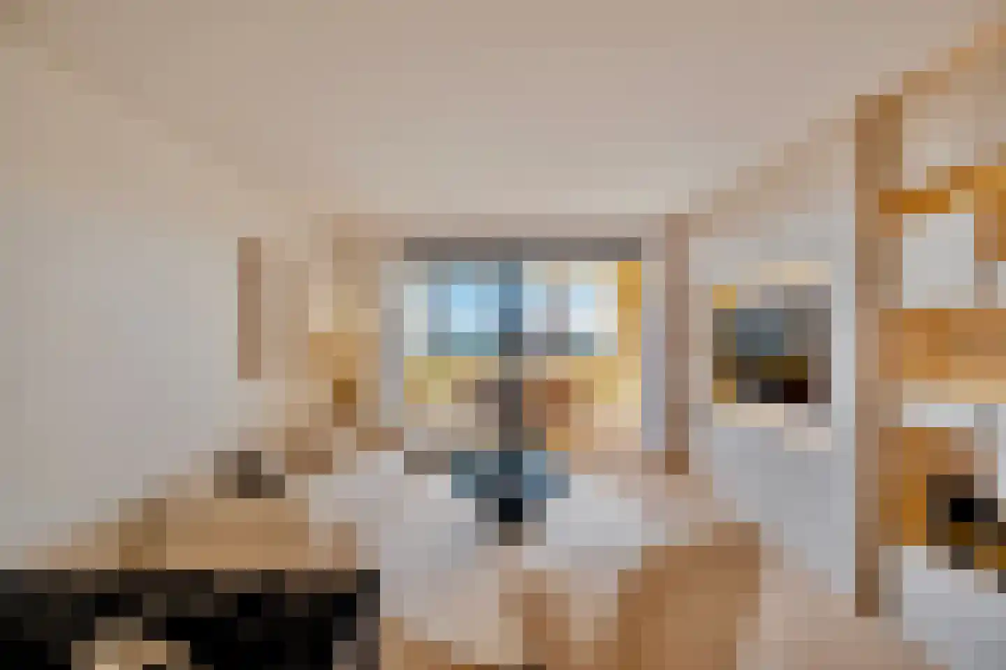 Viergrenzenweg 5 MBl Vaals thumbnail 6