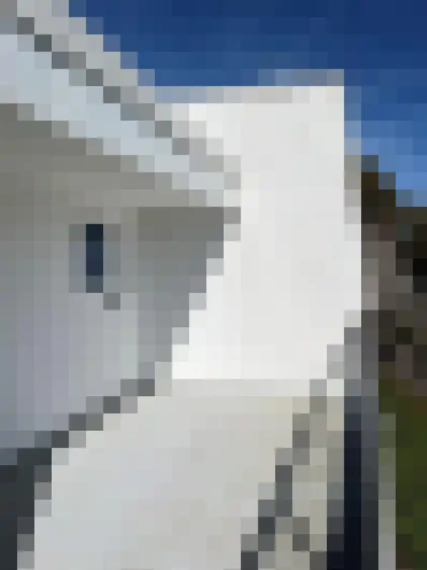 Viergrenzenweg 97 Vaals thumbnail 7