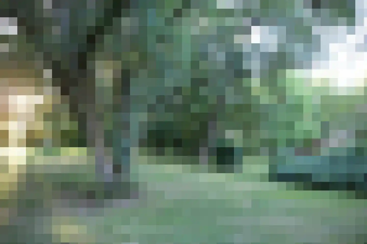 Viergrenzenweg 97 Vaals thumbnail 64