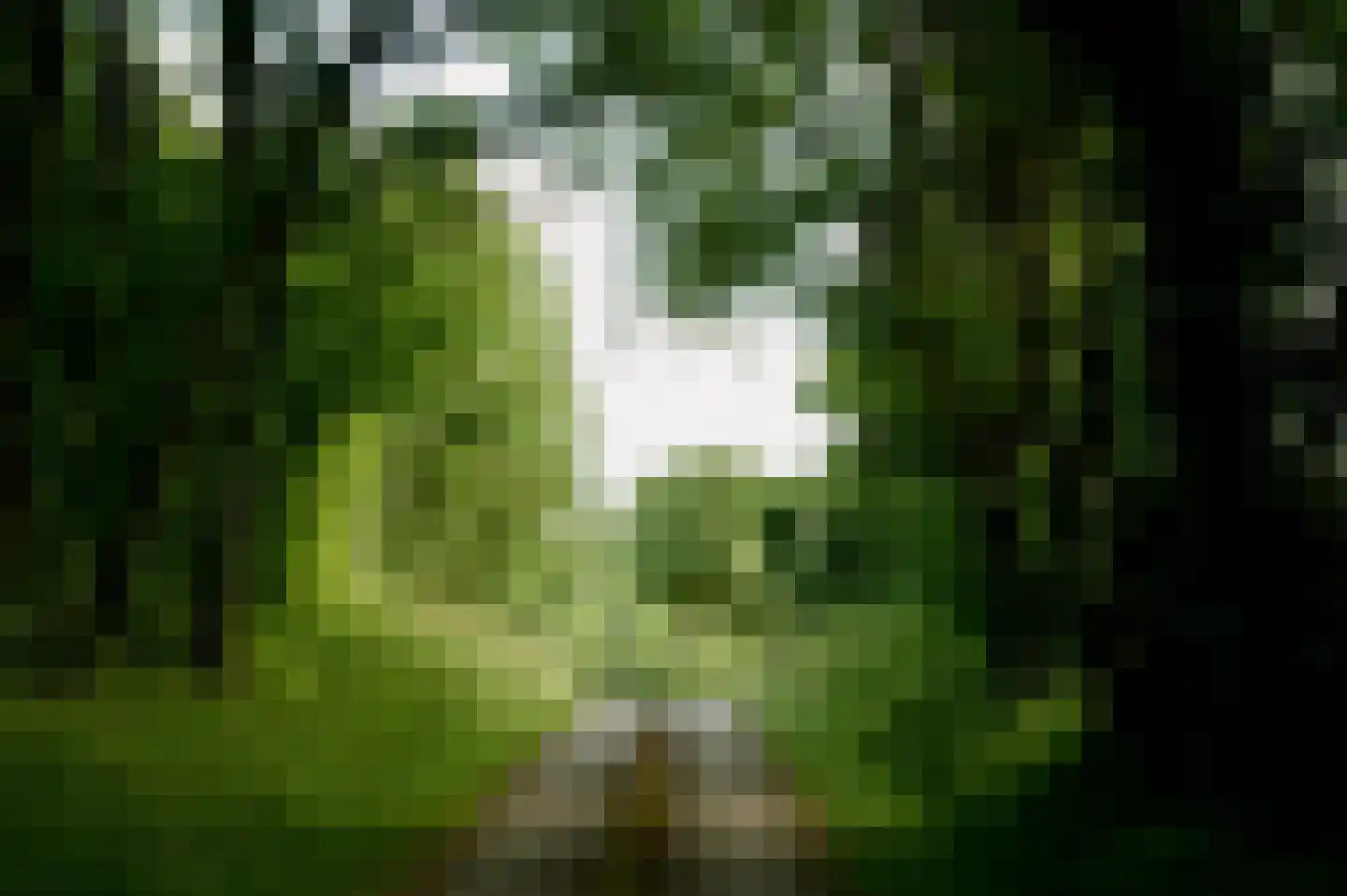 Viergrenzenweg 97 Vaals thumbnail 67