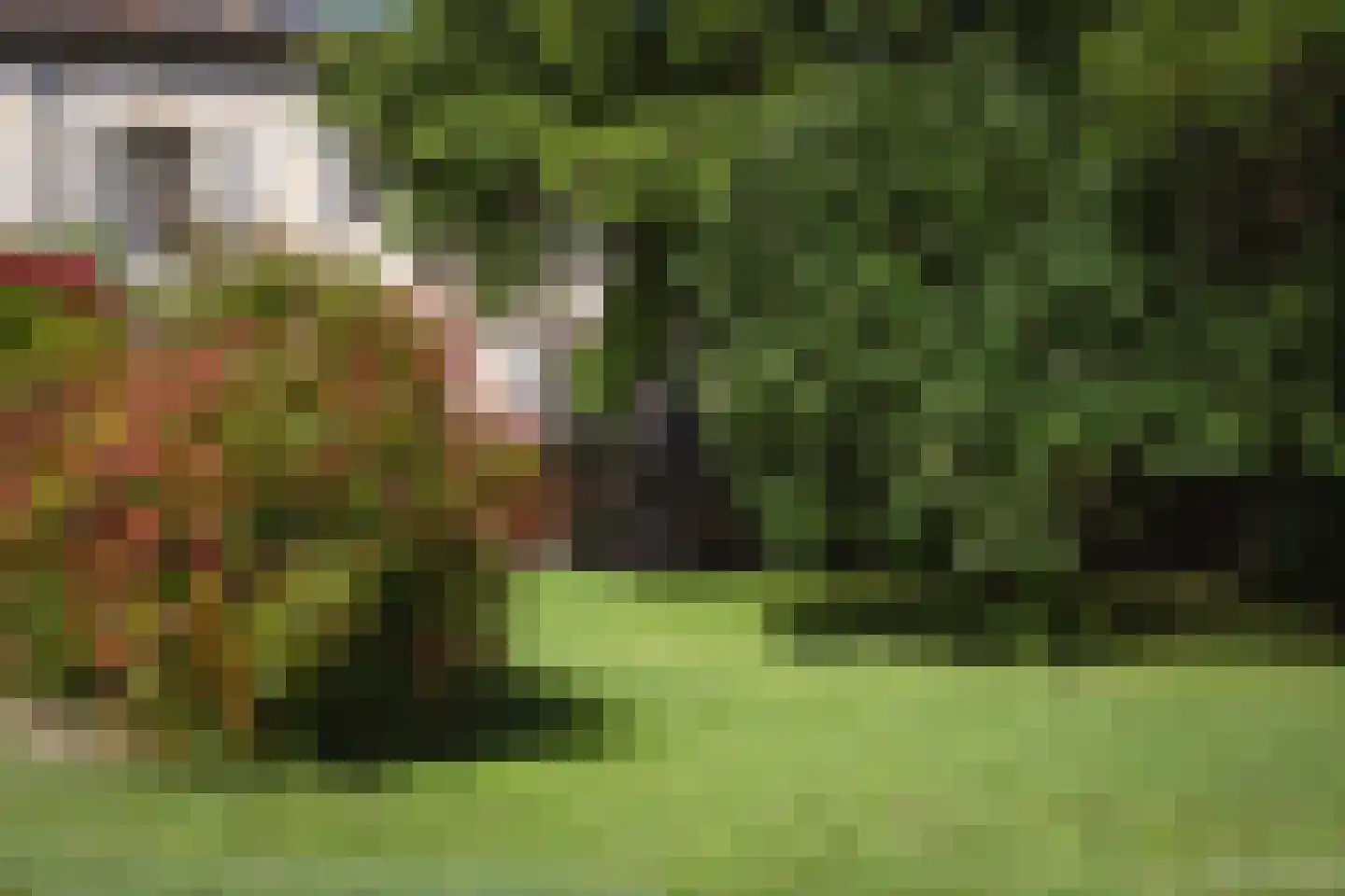 Viergrenzenweg 97 Vaals thumbnail 7