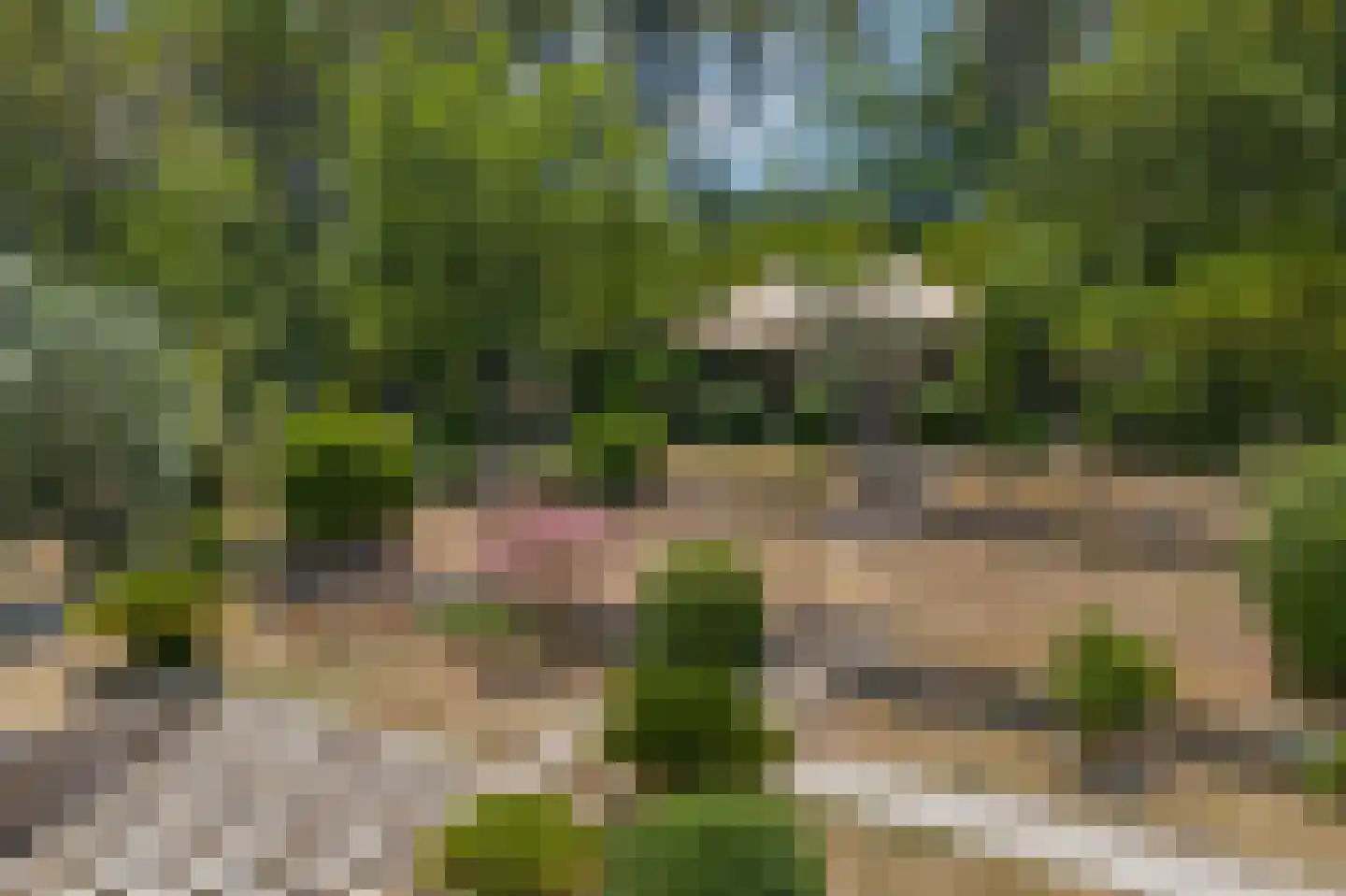 Viergrenzenweg 97 Vaals thumbnail 9