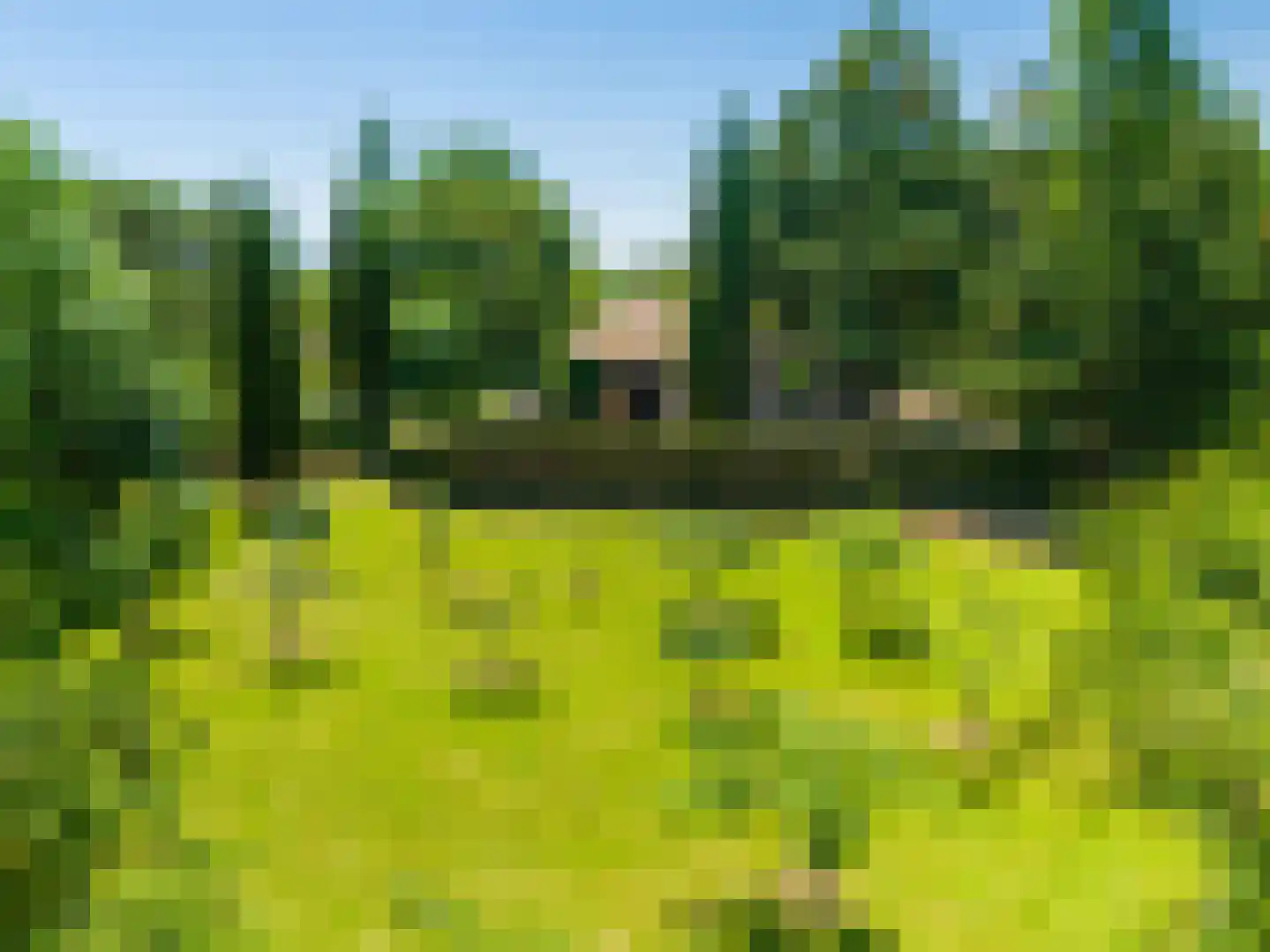 Viergrenzenweg 97 Vaals thumbnail 92