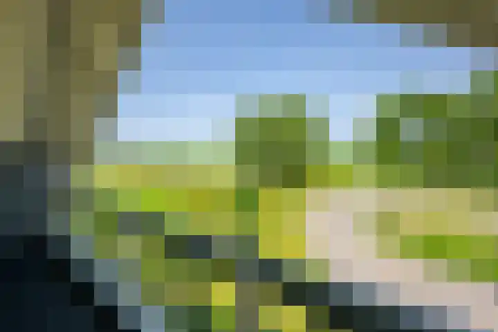 Vierheemskinderenweg 16 Hazerswoude-Dorp thumbnail 35