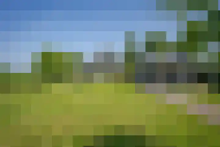 Vierheemskinderenweg 16 Hazerswoude-Dorp thumbnail 48