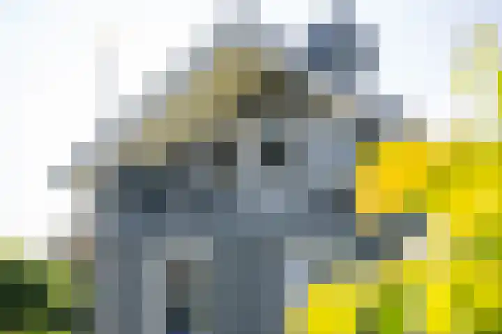 Vierheemskinderenweg 16 Hazerswoude-Dorp thumbnail 5