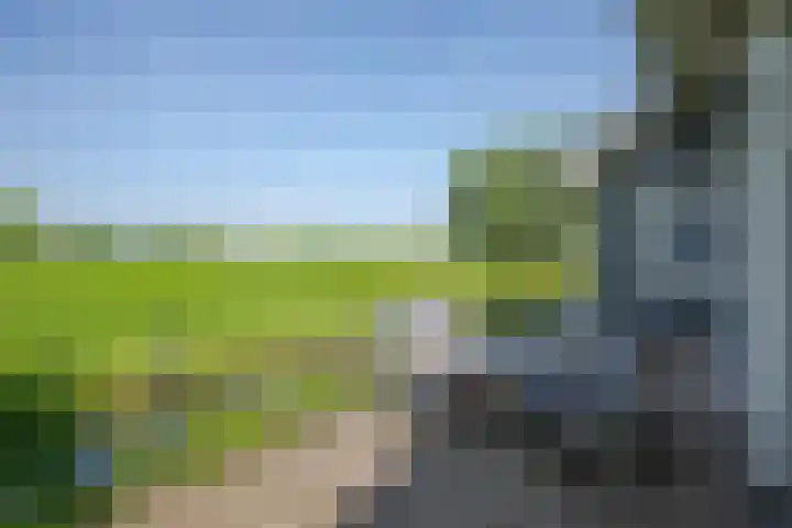 Vierheemskinderenweg 16 Hazerswoude-Dorp thumbnail 53