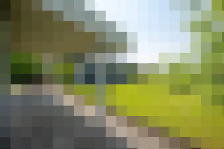 Vierheemskinderenweg 16 Hazerswoude-Dorp thumbnail 55