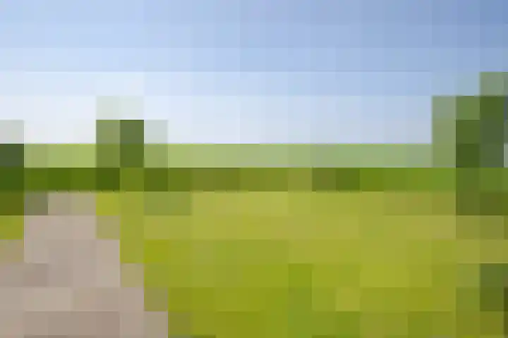 Vierheemskinderenweg 16 Hazerswoude-Dorp thumbnail 58