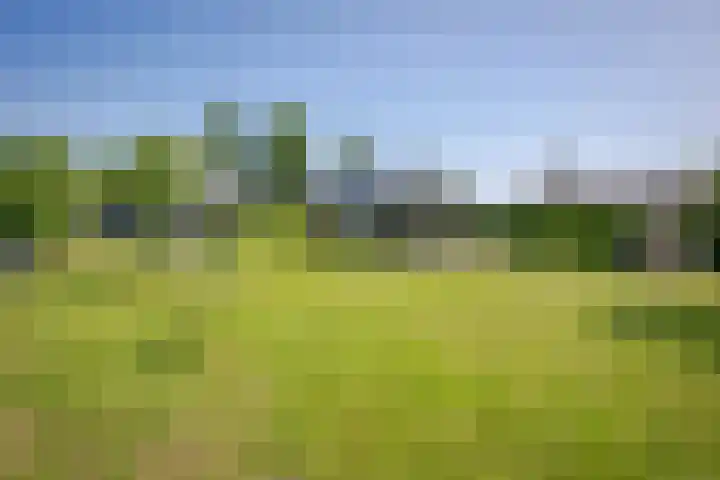 Vierheemskinderenweg 16 Hazerswoude-Dorp thumbnail 59
