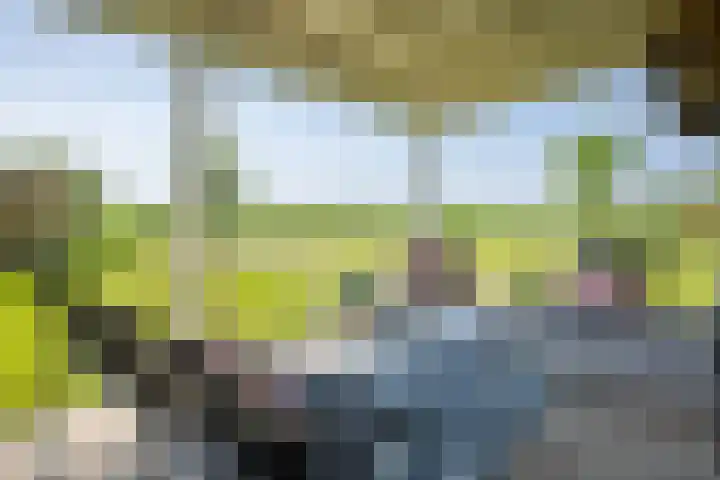 Vierheemskinderenweg 16 Hazerswoude-Dorp thumbnail 61