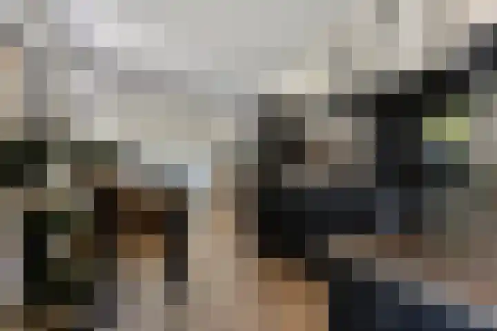 Vierhoeksweg 32 Langenboom thumbnail 11