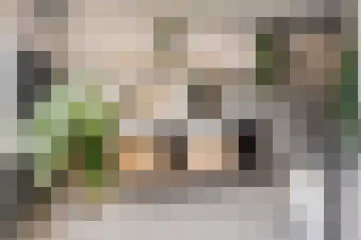 Vierhoeksweg 32 Langenboom thumbnail 14