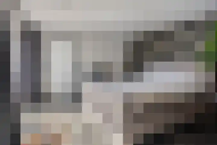 Vierhoeksweg 32 Langenboom thumbnail 21