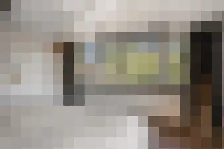 Vierhoeksweg 32 Langenboom thumbnail 26