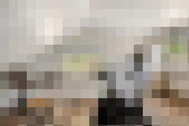 Vierhoeksweg 32 Langenboom thumbnail 27