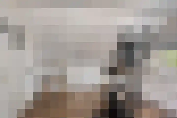 Vierhoeksweg 32 Langenboom thumbnail 29