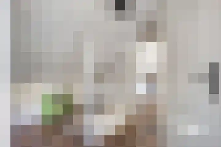 Vierhoeksweg 32 Langenboom thumbnail 31