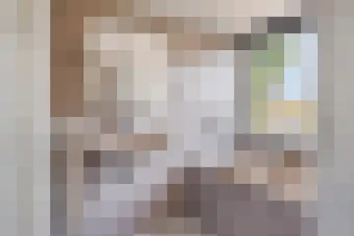 Vierhoeksweg 32 Langenboom thumbnail 32