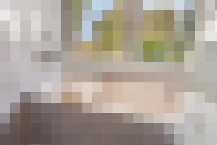 Vierhoeksweg 32 Langenboom thumbnail 33