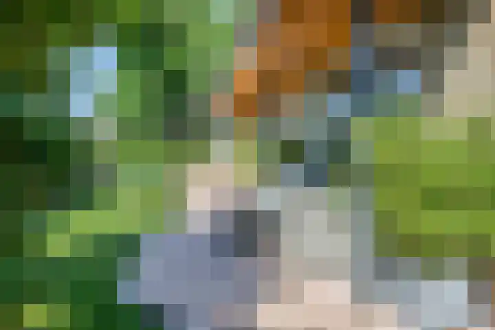 Vierhoeksweg 32 Langenboom thumbnail 38