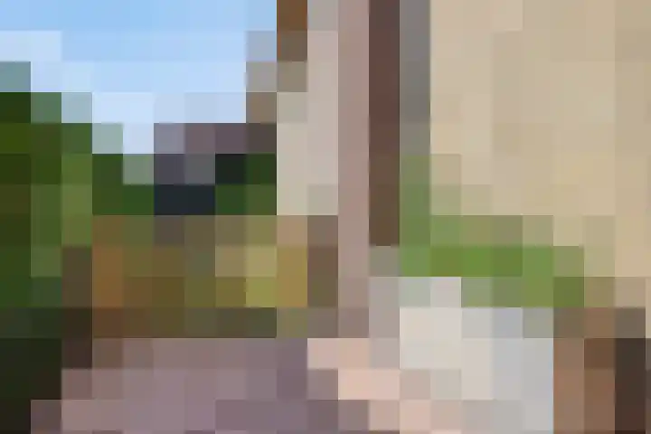 Vierhoeksweg 32 Langenboom thumbnail 39