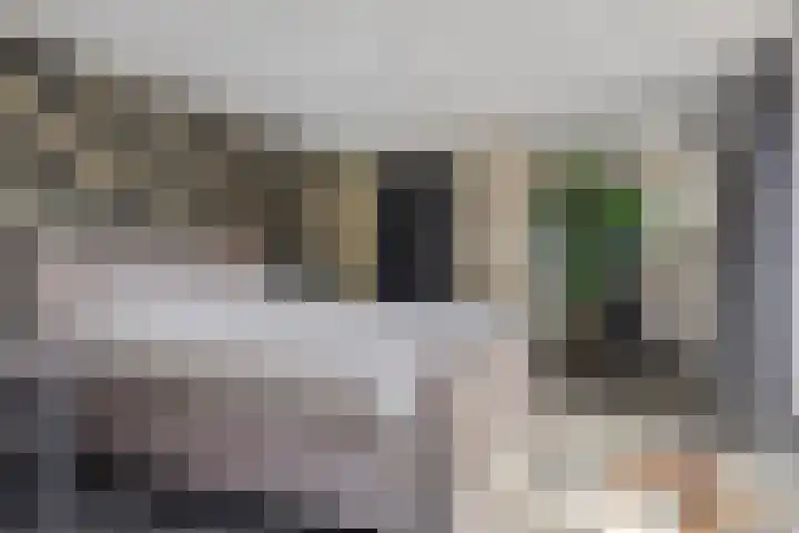 Vierhoeksweg 32 Langenboom thumbnail 4