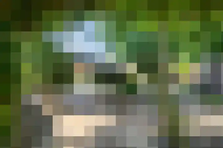 Vierhoeksweg 32 Langenboom thumbnail 41