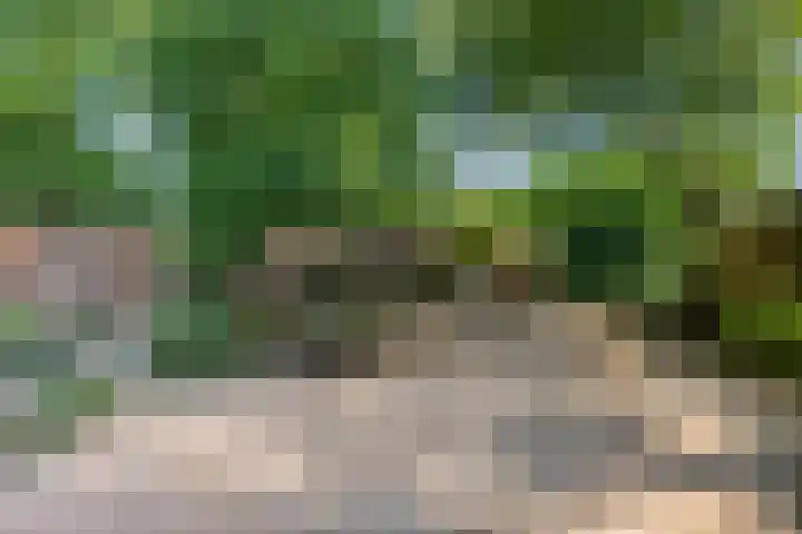 Vierhoeksweg 32 Langenboom thumbnail 42