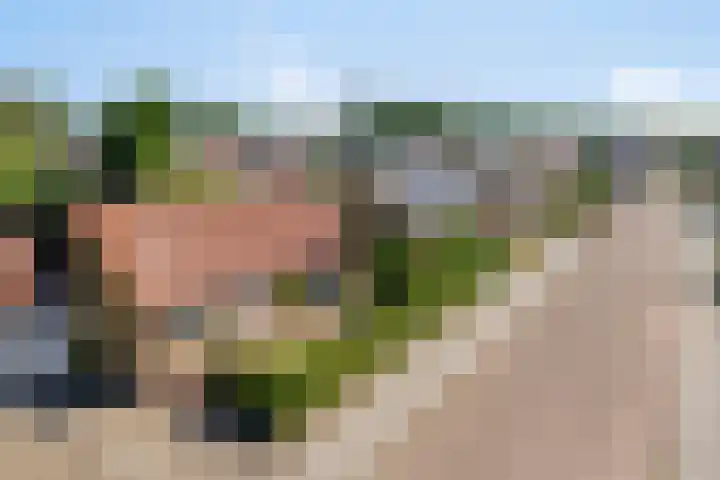 Vierhoeksweg 32 Langenboom thumbnail 44