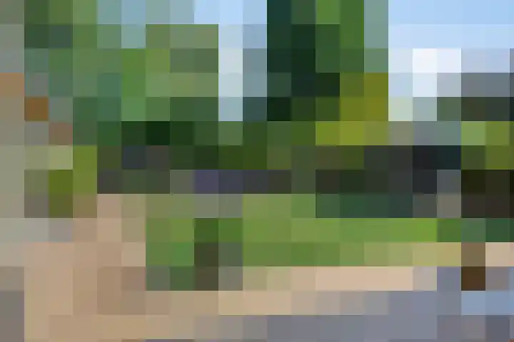 Vierhoeksweg 32 Langenboom thumbnail 5