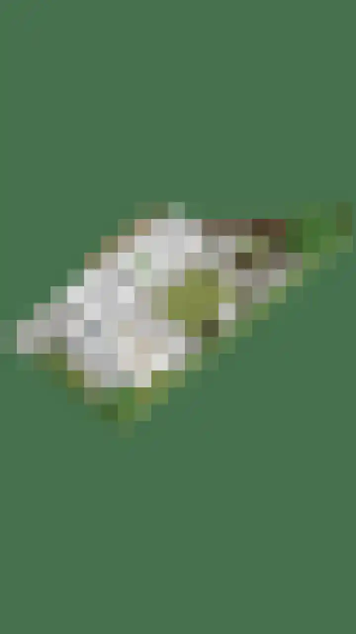 Vierhoeksweg 32 Langenboom thumbnail 52