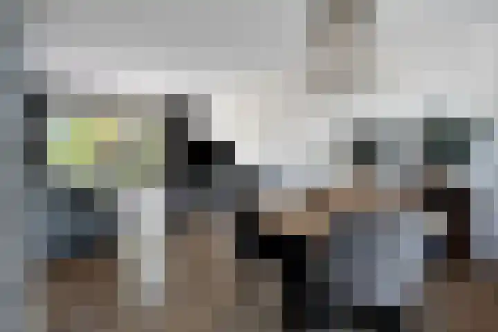 Vierhoeksweg 32 Langenboom thumbnail 7