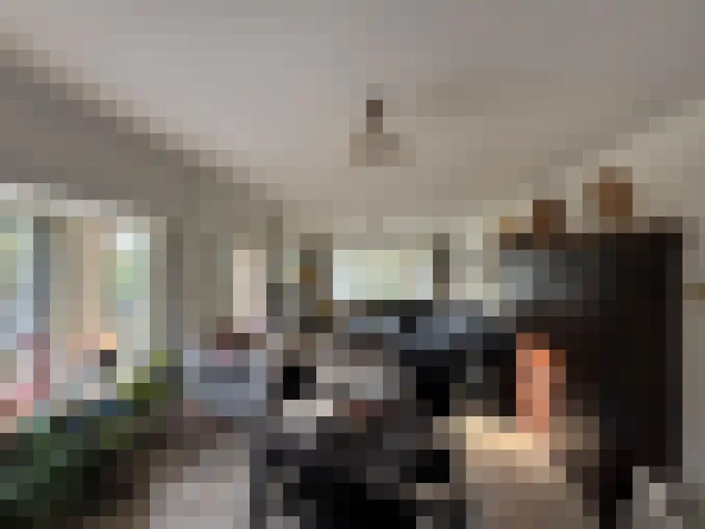 Vierhonderdpolderdijk 2 Cadzand thumbnail 5