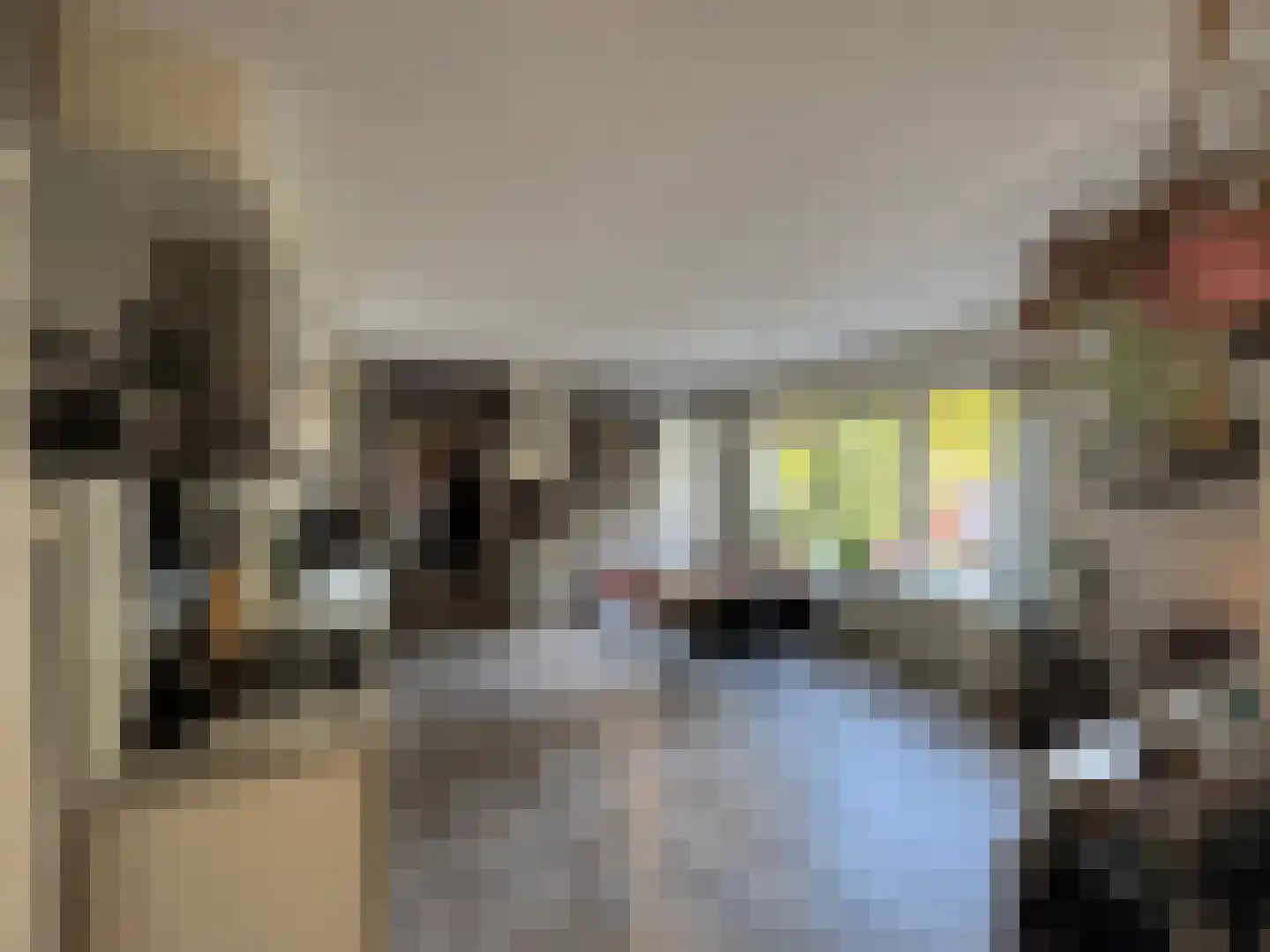 Vierhonderdpolderdijk 2 Cadzand thumbnail 6