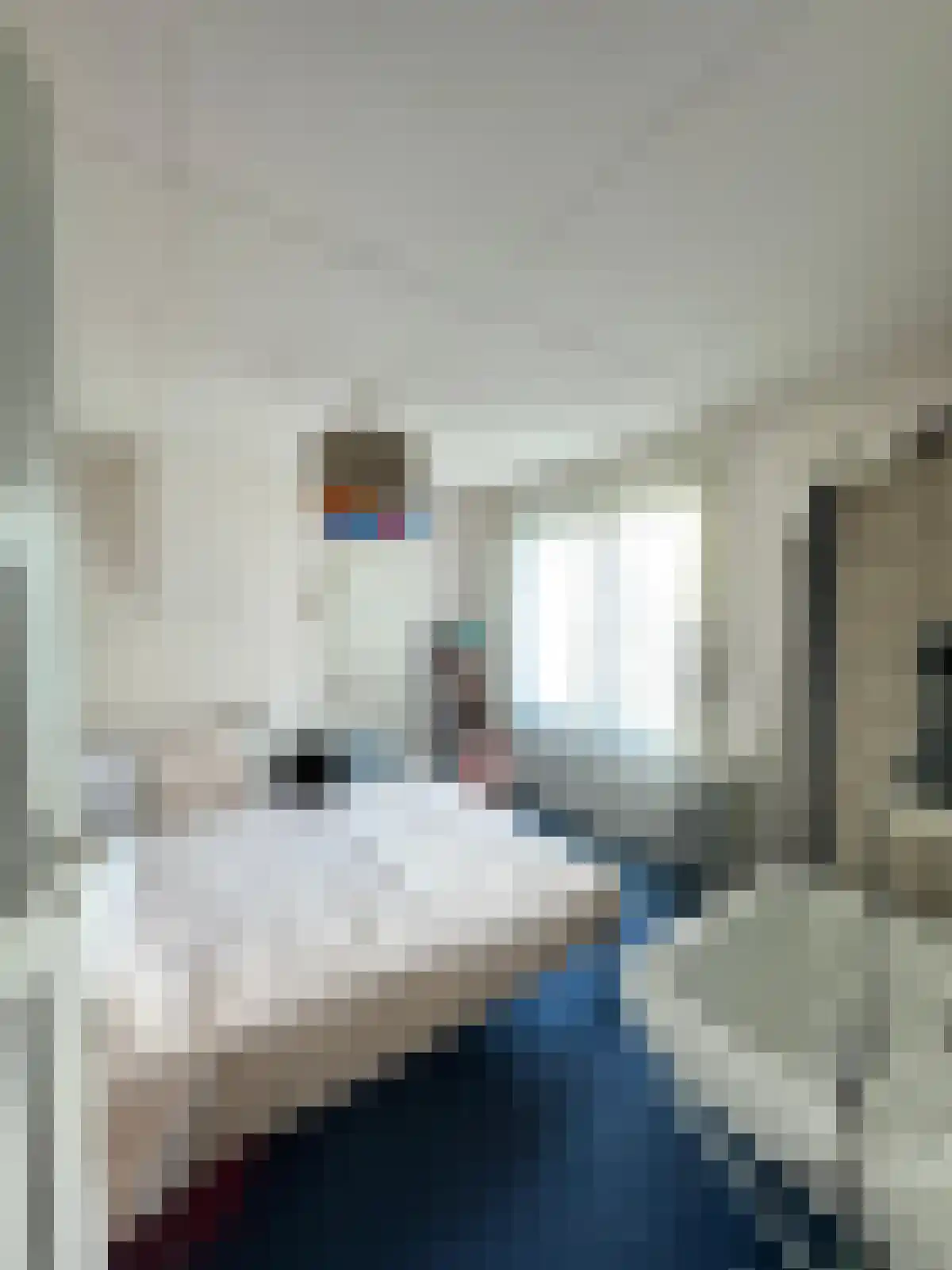 Vierhonderdpolderdijk 2 Cadzand thumbnail 9