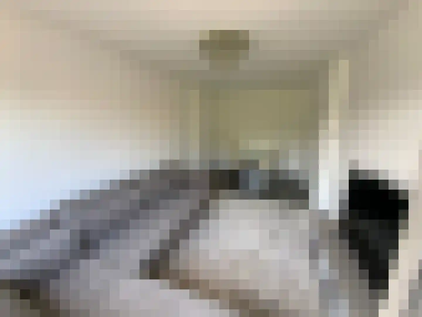 Vierhoutenstraat 115 Den Haag thumbnail 5